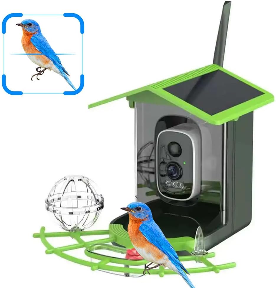 Real Time Bird watching WIFI A - A1 Watches & Jewelry New York Photos 리뷰 및 가격