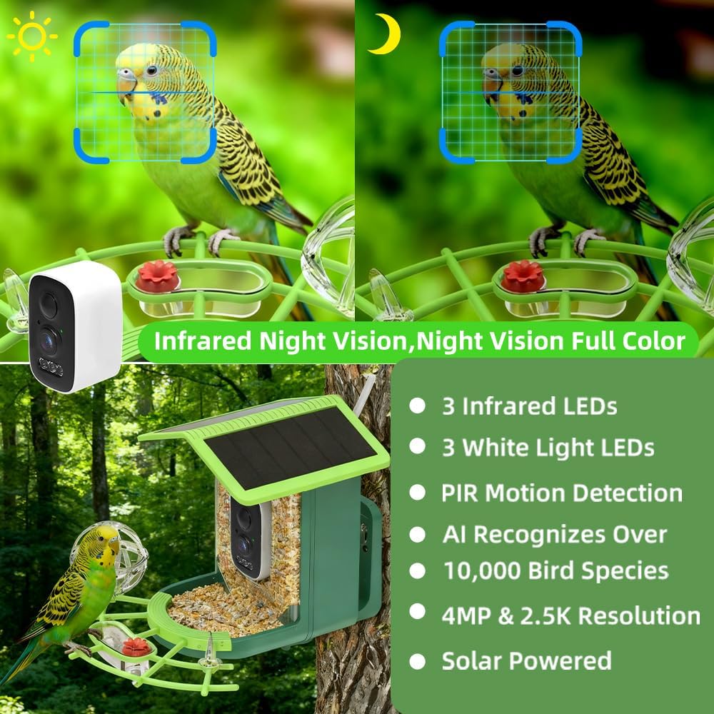 Real Time Bird watching WIFI A - A1 Watches & Jewelry New York Photos 리뷰 및 가격